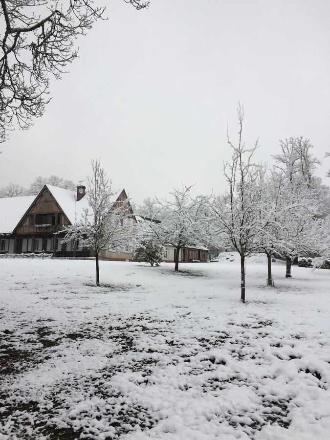 Bed and Breakfast Les Vieux Guays Cerdon  Exteriér fotografie